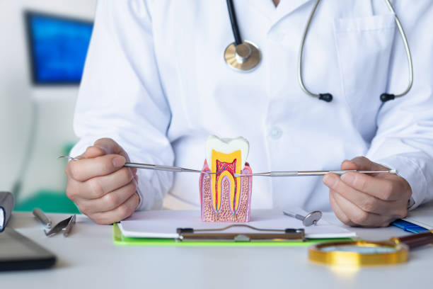 Best Urgent Dental Care in Parklawn, CA